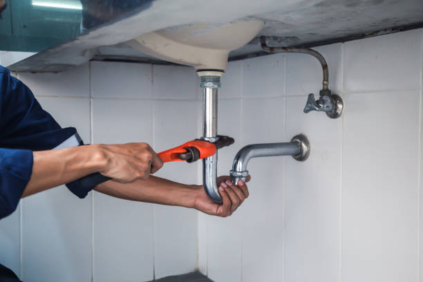 Best Plumbing Inspection Services  in Clare, MI